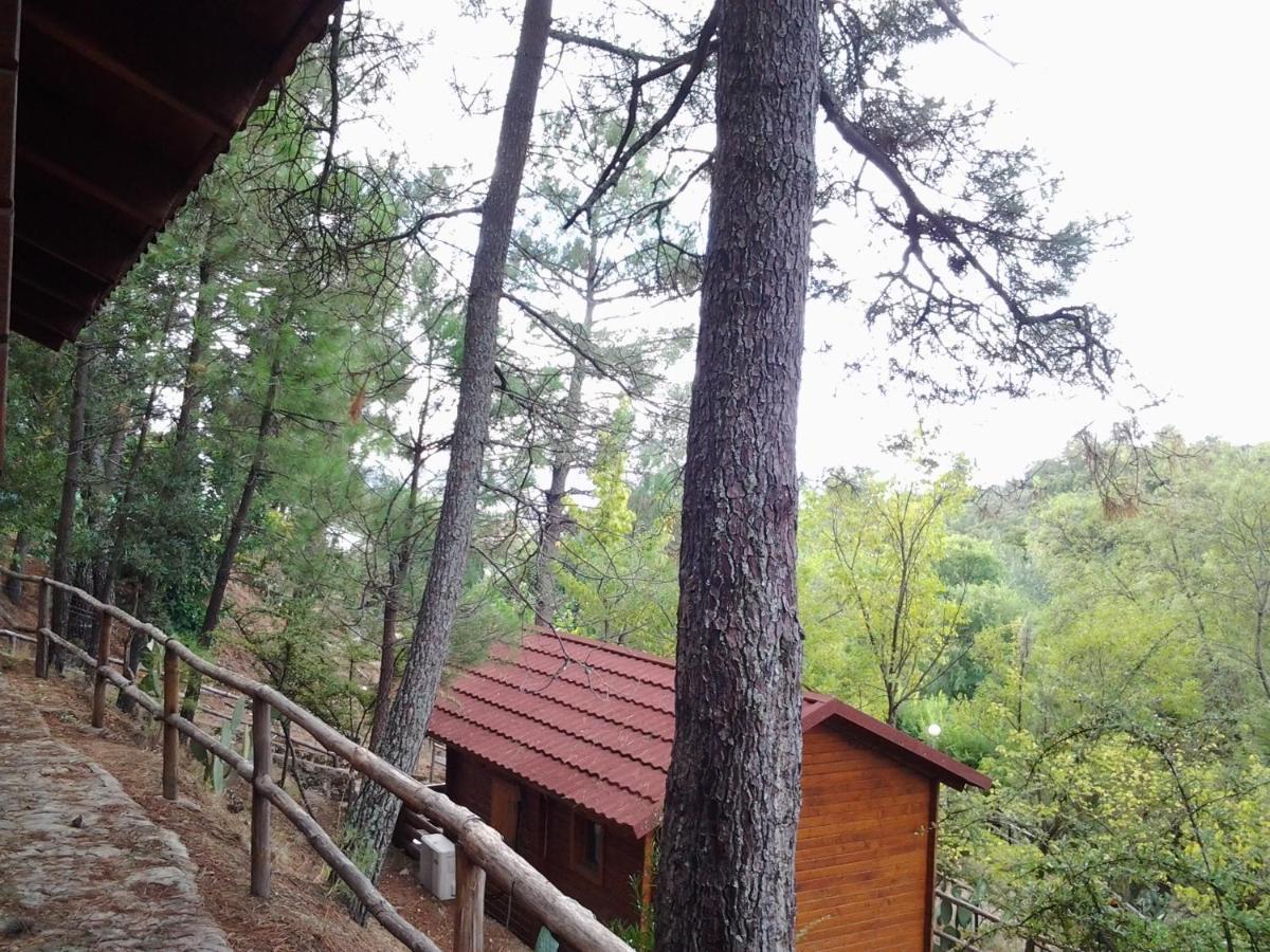 Camping La Eliza Hotel Lanzahita Екстериор снимка